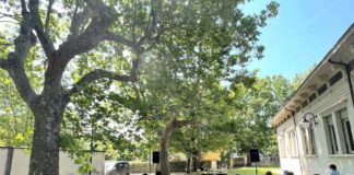 Prosegue la crescita del Centro Culturale Venturini a Massa Lombarda