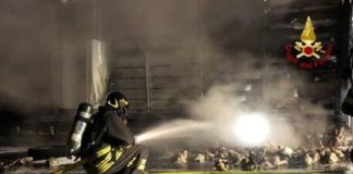 Tir carico di polli prende fuoco in A14 in Romagna