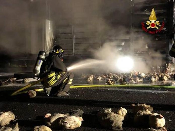 f9c6408834b0c2e63d2bf005232dccb9