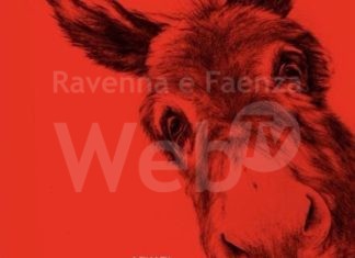 I “cult days” del cinema Mariani propongono Eo, di Jerzy Skolimowski, film vincitore del premio della critica al festival di Cannes