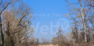 Giornata mondiale delle zone umide: domenica visite guidate a Punte Alberete