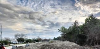 Italia Nostra Ravenna: Quod non fecit Jovanotti… la devastazione ambientale del “Parco Marittimo”