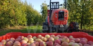 Cia-Agricoltura, il lavoro c’è ma mancano gli addetti. Proposte sul tema manodopera