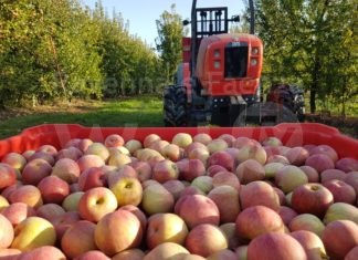 Cia-Agricoltura, il lavoro c’è ma mancano gli addetti. Proposte sul tema manodopera