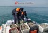 Pesca abusiva: Sequestrati 300 kg di vongole e lupini. Multa di 2000 euro al comandante dell’imbarcazione