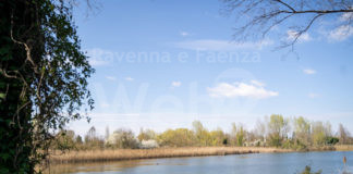 Interventi di laminazione Lugo Ovest, chiusura dell’accesso al parco del Loto di via Canale Inferiore Destra