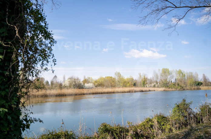 Bosco 4 8906 (Copia)