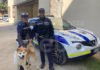 Grosso cane salvato dalle auto lungo la via Emilia dagli agenti della polizia locale dell’Unione