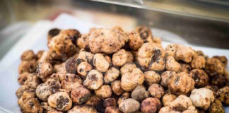 La Festa del Tartufo Primaverile a Casola Valsenio