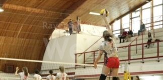 Olimpia Teodora frenata a Monte Urbano