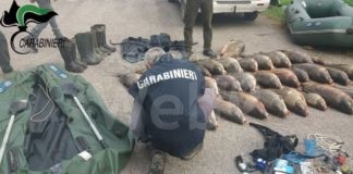 Tutela del Grande Fiume e contrasto al bracconaggio ittico: Accordo quadro tra Carabinieri Forestali e Autorità di Bacino Distrettuale del fiume Po