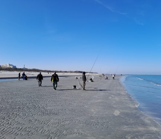 Una petizione per chiedere di installare le webcam sul mare ravennate