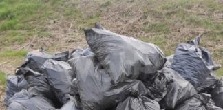 Vitali (PdF): “Abbandono di rifiuti illegali sull’argine del fiume Montone”