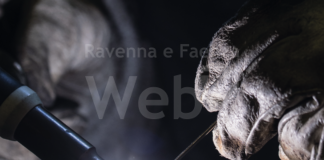 Nasce la nuova Academy gratuita per formare i giovani nel settore metalmeccanico