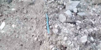 Vivi Ravenna Verde chiede l’intervento della Polizia Ambientale per i rifiuti ritrovati nei lavori al Parco Marittimo