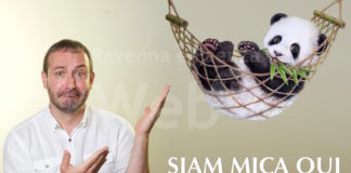 Facciamo comunità… energetica! Le iniziative del 5 e 6 marzo a Faenza