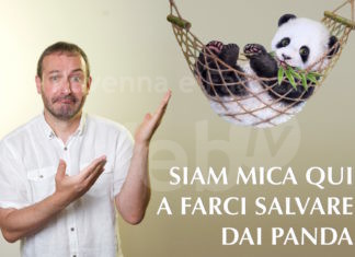 Facciamo comunità… energetica! Le iniziative del 5 e 6 marzo a Faenza