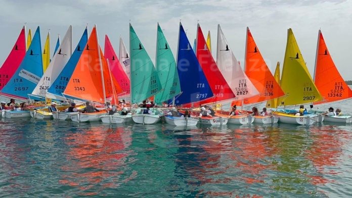 WhatsApp Image 2023-03-01 at 19.46.06