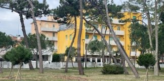 Lions Club Milano Marittima 100 e l’ambiente: piantumati tre alberi nell’anello del Pino