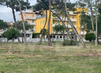 Lions Club Milano Marittima 100 e l’ambiente: piantumati tre alberi nell’anello del Pino