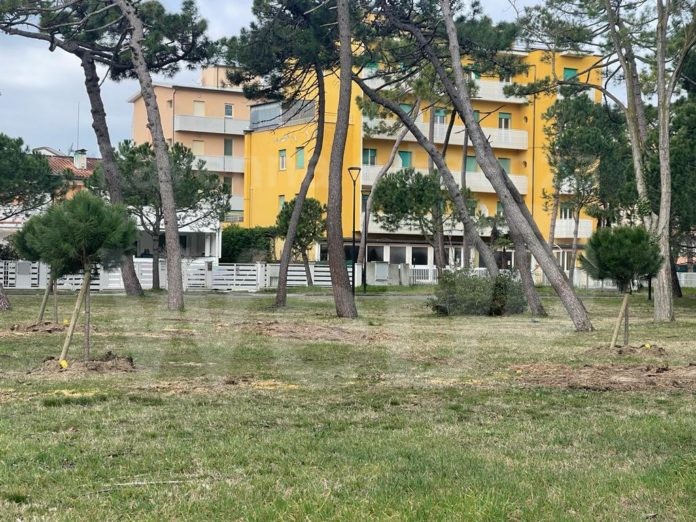 alberi milano marittima 2023