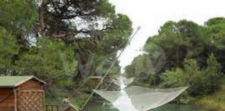 Soddisfazione della maggioranza per la modifica al regolamento: proroga al 2027 per completare i lavori nei capanni