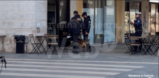 Operazione congiunta di Carabinieri, Polizia Locale e Nucleo Cinofilo in centro a Faenza
