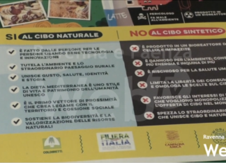 Vietato il cibo sintetico. Coldiretti soddisfatta: “In provincia di Ravenna raccolte 5 mila firme”