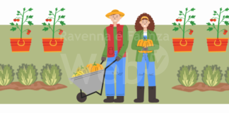 Auser Faenza: mercoledì sera al via “Il bello di coltivare la vita”, un corso gratuito sull’orticoltura