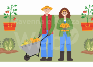 Auser Faenza: mercoledì sera al via “Il bello di coltivare la vita”, un corso gratuito sull’orticoltura