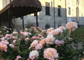 Bagnacavallo: Ex convento di San Francesco: avviso per la subconcessione in gestione dei locali ex Scottona