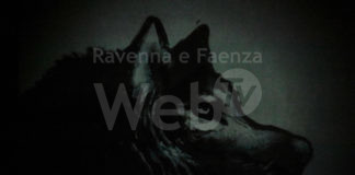 ANIC protagonista da Antonioni a Dadina, passando per Bittante e Zanni