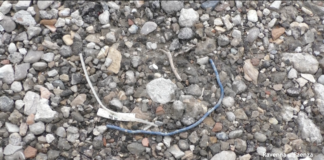 Plastiche, rifiuti e laterizi negli stradelli del Parco Marittimo: quanto è vasta l’area ricoperta da materiale di riuso ?