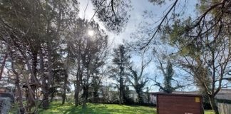 Attività cinofile: un bando per il parco e l’area sgambamento cani di via Tarroni