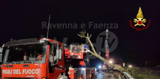 Maltempo: notte di interventi per i Vigili del Fuoco. Selice chiusa per un albero caduto