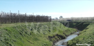 Siccità: l’inverno si conclude con le falde acquifere sotto la media storica. A Ravenna -19%