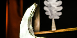 Teatrino Digitale in scena al Teatro Rasi