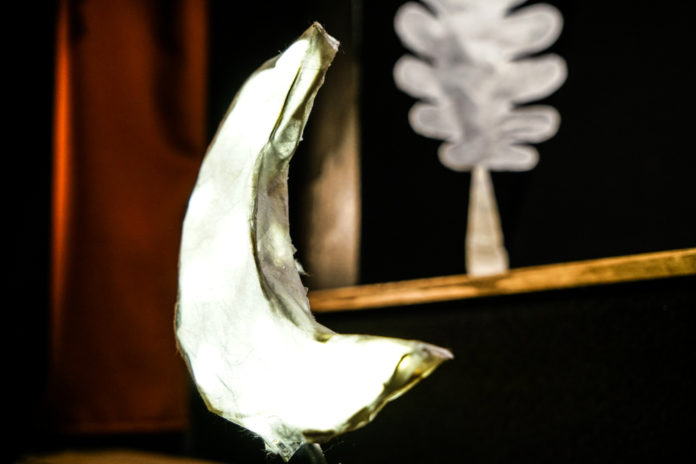 teatrinodigitale-foto-06