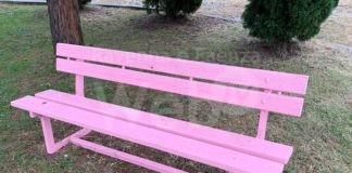 Una panchina rosa dalla Camera di Commercio, insieme al Comune di Ravenna nell’impegno contro la violenza sulle donne