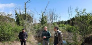 Sopralluogo per la progettazione del ripristino dell’area disboscata abusivamente a Marina Romea