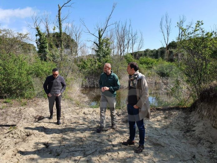 23-04-20-sopralluogo-pineta