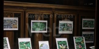 Nuova mostra al “Private Banking” della Cassa di Ravenna