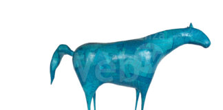 Antonia Zotti in mostra presso Pallavicini22 dal 6 al 28 maggio 2023