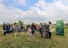 Inaugurato a Conselice l’intervento di forestazione con mille nuove piante curate da Hera grazie al progetto “ECO Alberi”