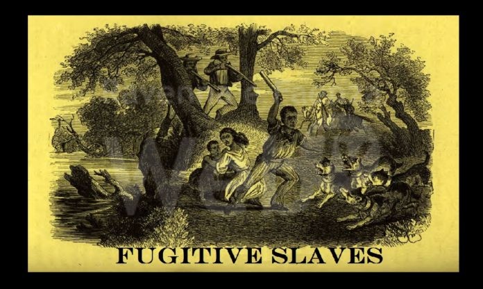 Fugitive slaves