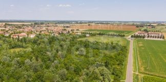 A Conselice sono stati creati due ettari di bosco urbano per migliorare la qualità ambientale del territorio