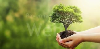 Forestazione. Dalla Regione oltre 2,2 milioni di euro per finanziare 20 progetti presentati da Comuni, Parchi, Consorzi forestali