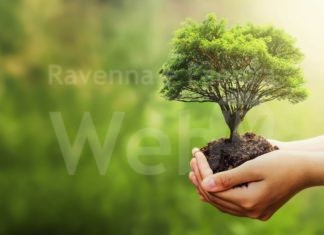 Forestazione. Dalla Regione oltre 2,2 milioni di euro per finanziare 20 progetti presentati da Comuni, Parchi, Consorzi forestali