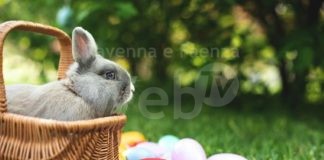 Domani una “Caccia Pasquale” nelle attività del Centro Storico