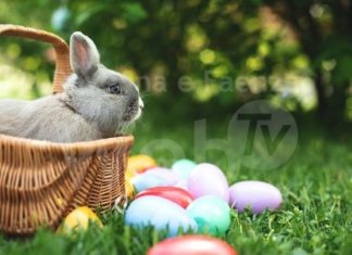 Domani una “Caccia Pasquale” nelle attività del Centro Storico